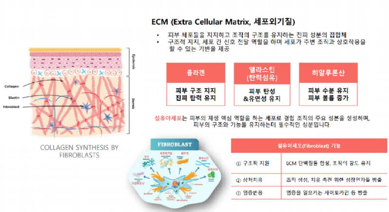 ECM 설명